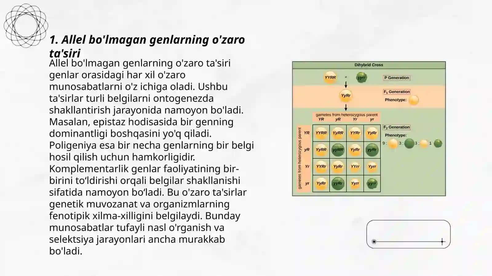 Allel bo'lmagan genlarning õzaro tasiri 3
