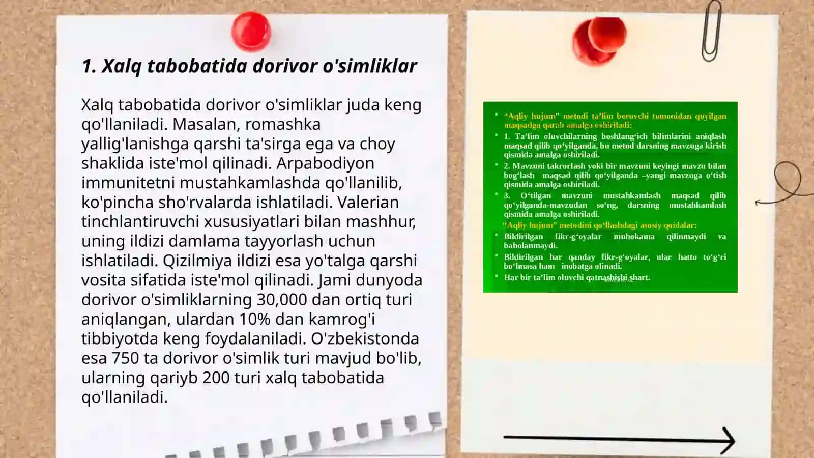 Xalq tabobatida dorivor o'simliklar 3