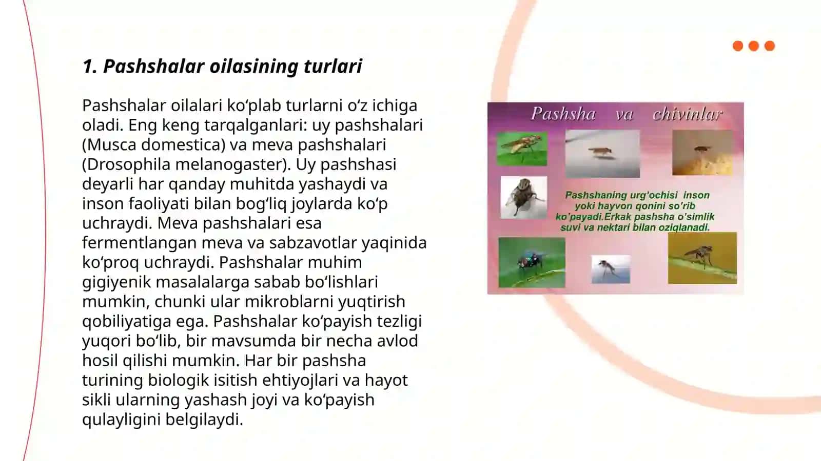 Pashshalar oilasi 3