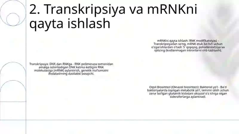 Oqsil Biosintezi 3