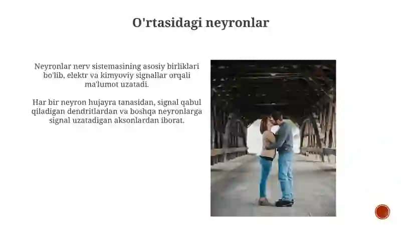 Neyron uning tuzilishi va funksiyalari 3