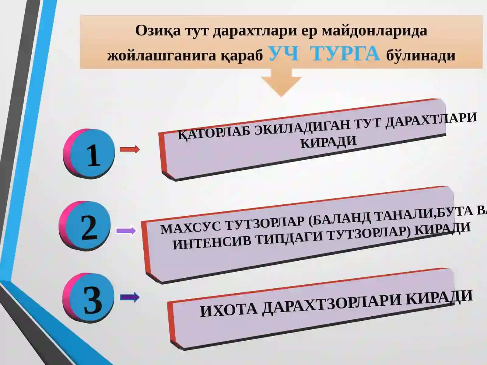Ипакчилик асослари 3