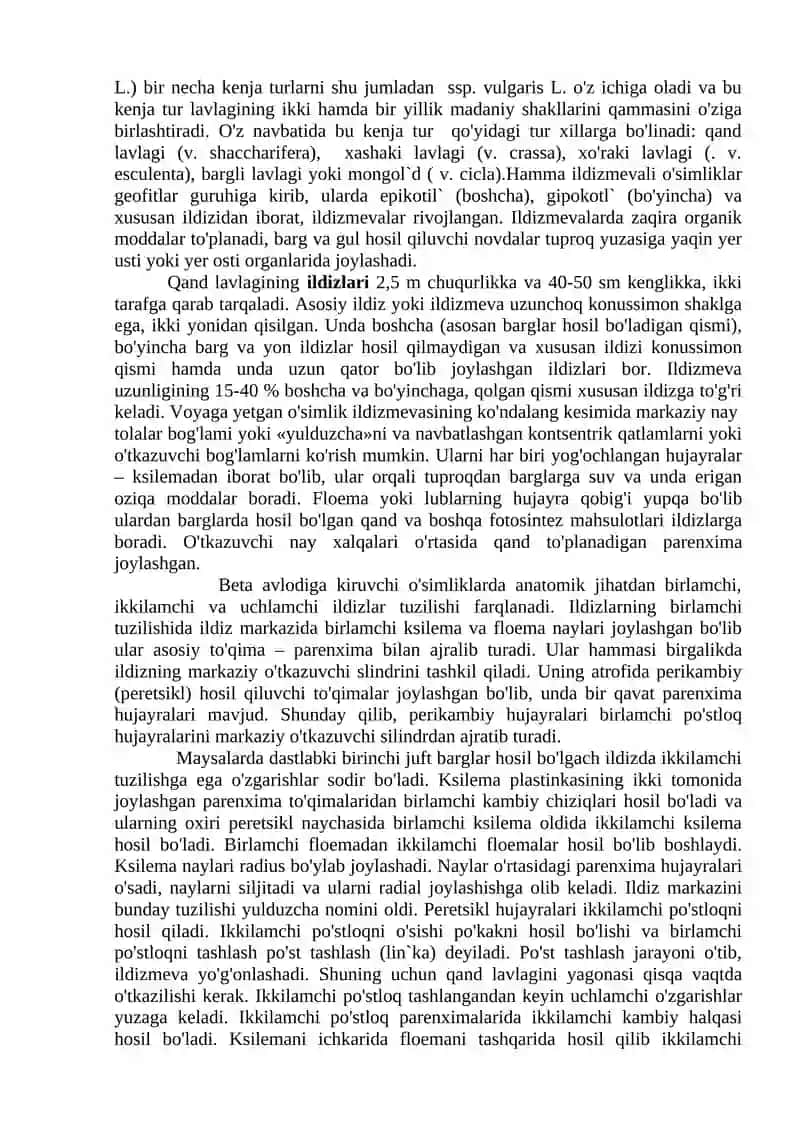 Ildiz mevali o’simliklar 3