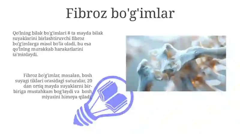 Suyak To'qimasi 3