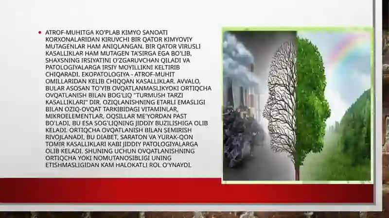 Atrof-muhitning inson salomatligi ga'ta'siri 3