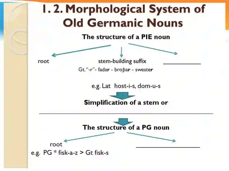 Morphological Structure of Words in Old Germanic Languages 3
