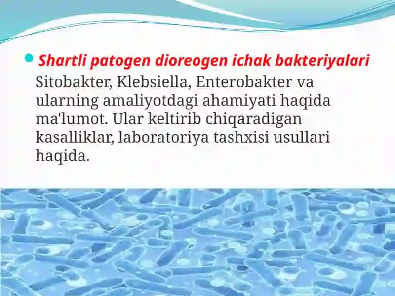 Shartli patogen dioreogen ichak gruppa bakteriyalari 3