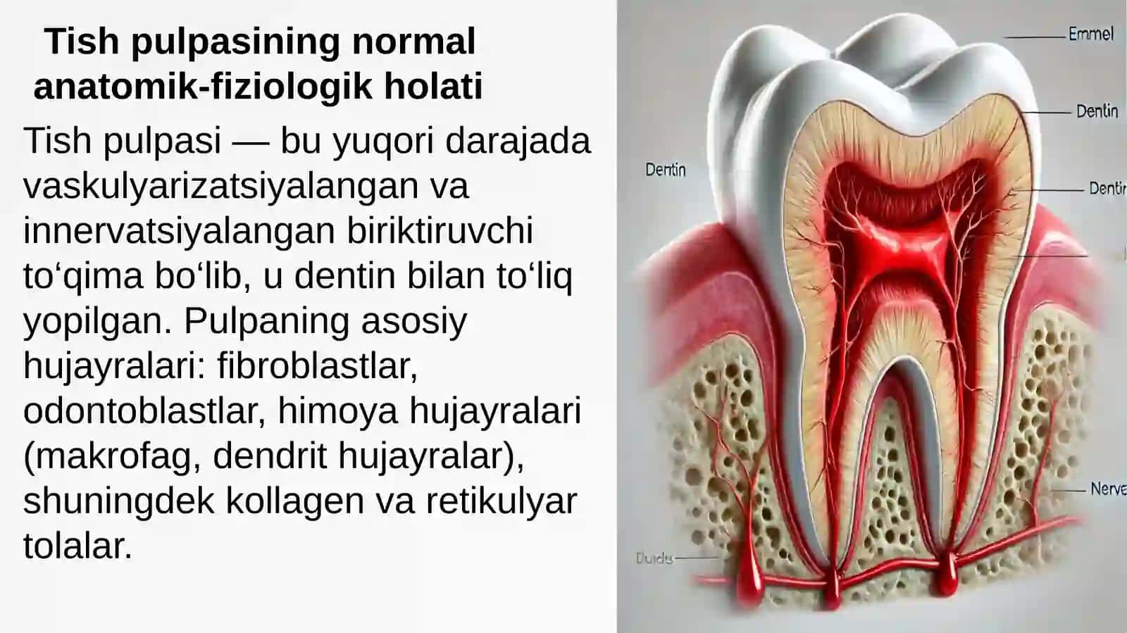 STOMATOLOGIYA FAKULTETI PREZENTATSIYASI 3