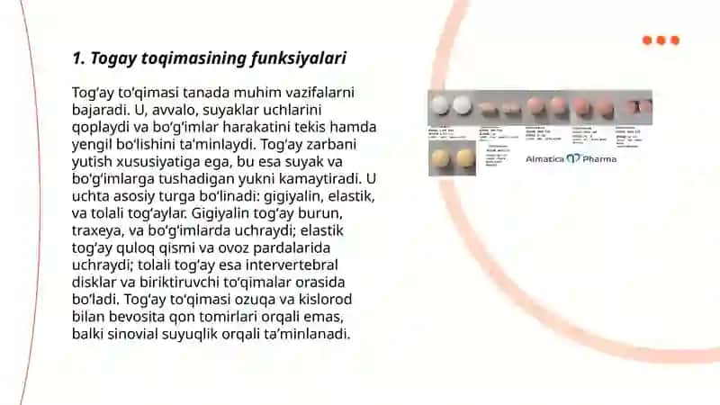Togay toqimasi 3