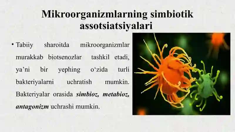 Mikroorganizmlarning o’zaro va boshqa organizmlar bilan munosabati 3