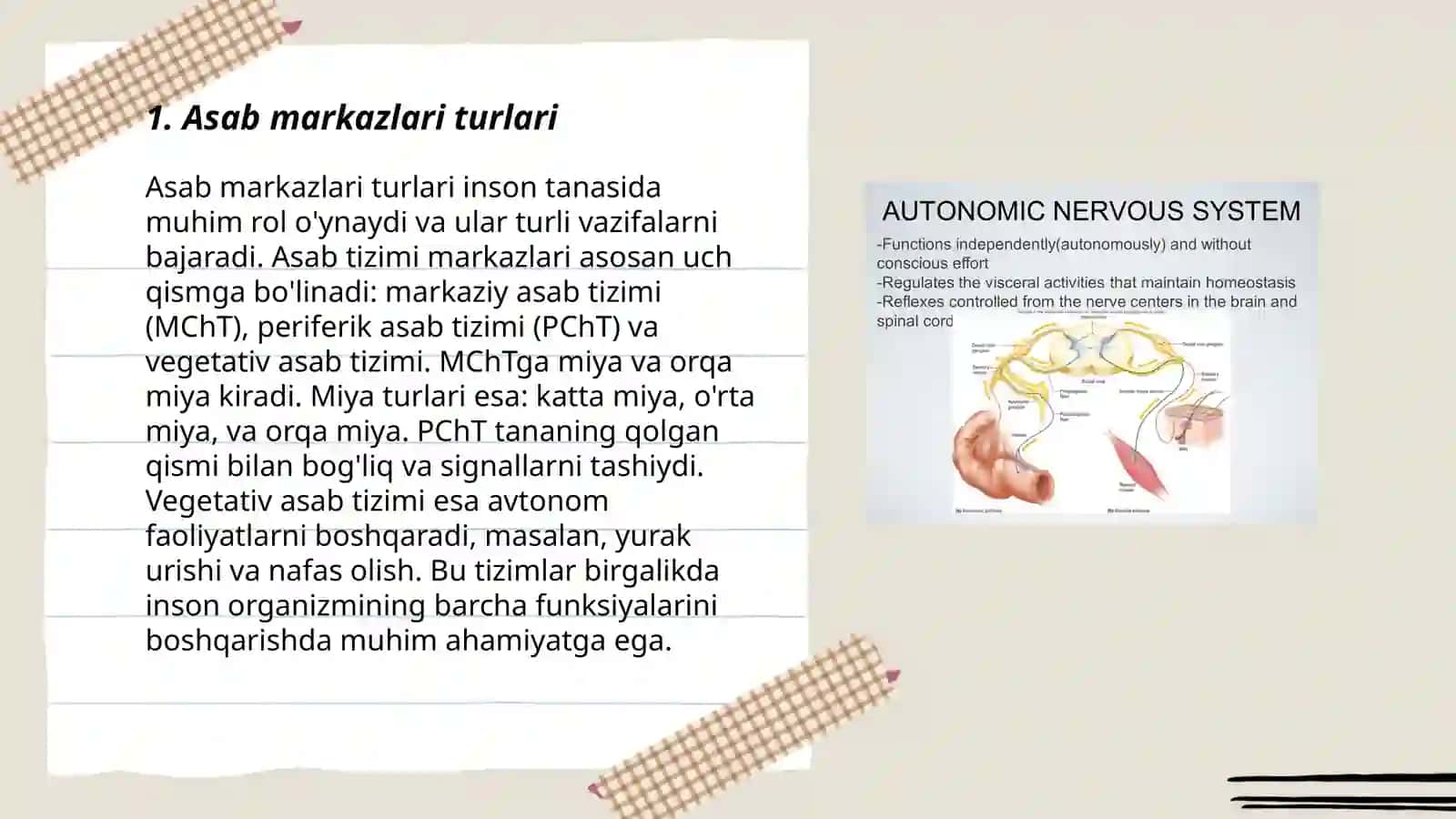 Asab markazlari turlari 3