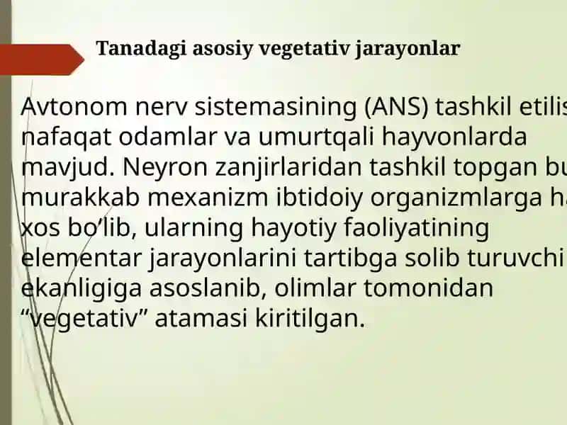 VEGETATIV NERV TIZIMI FIZIOLOGIYASI 3