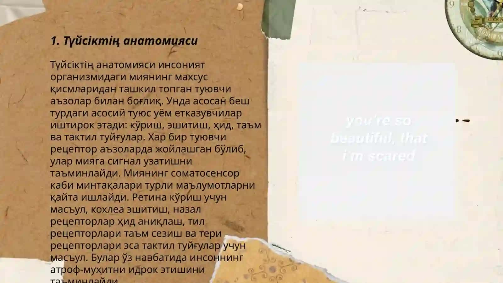 Түйсіктің анатомияси 3