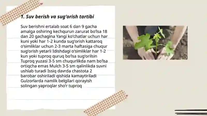 oʻsimliklarni parvarish qilish 3