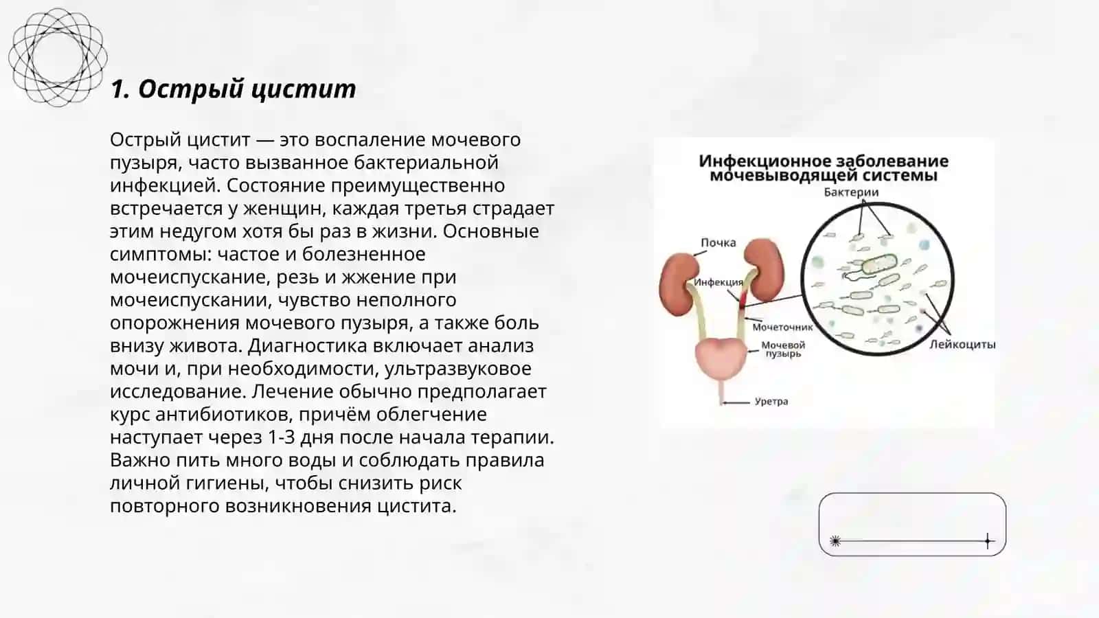 Заболевания мачевого аппарата 3