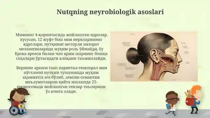 Nutqning anatom fiziologik mexanizmlari 3