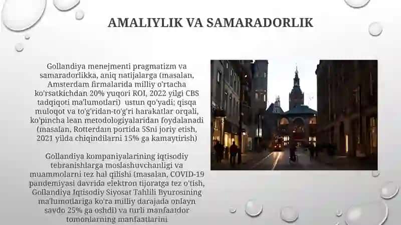 Gollandiya menejmenti 3
