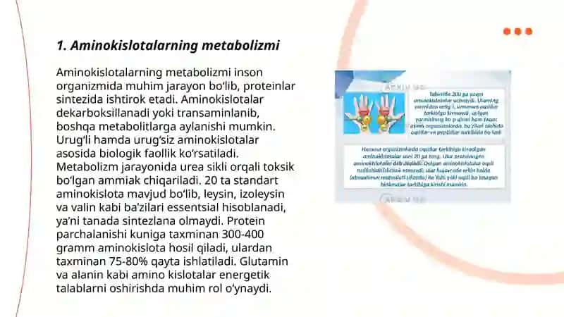 Aminokislotalar Metabolizmi 3