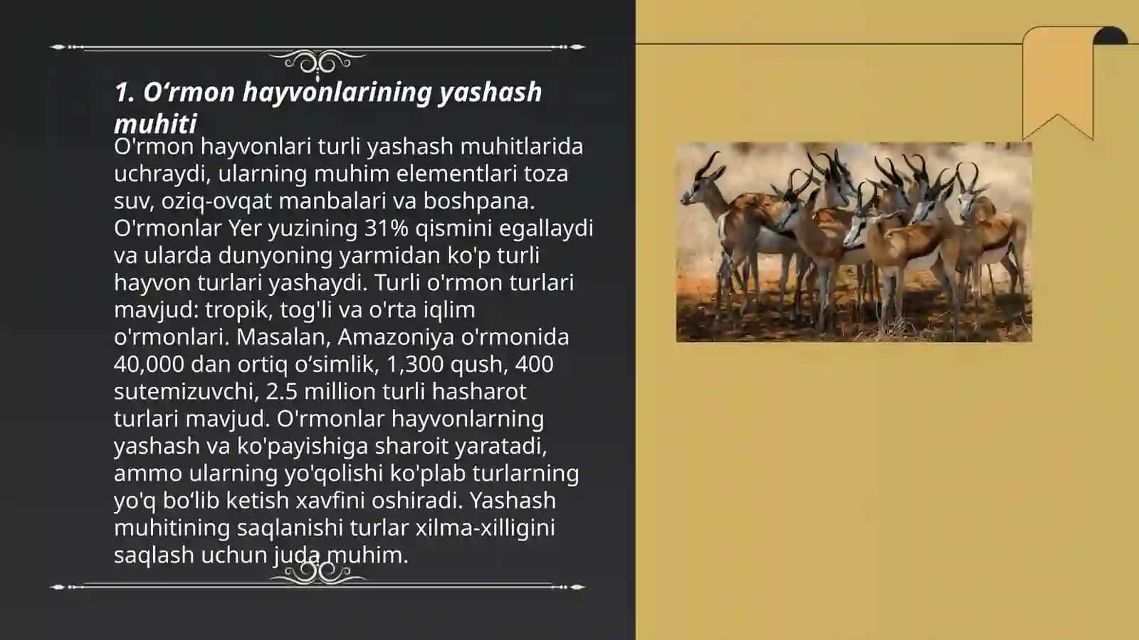 Oʻrmon hayvonlari 3
