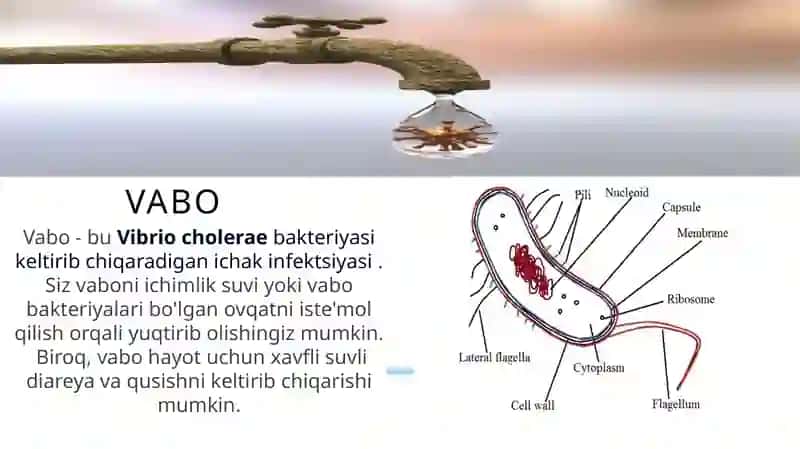 O’taxavfli yuqumli infeksiyalar. Epidemiologiya 3