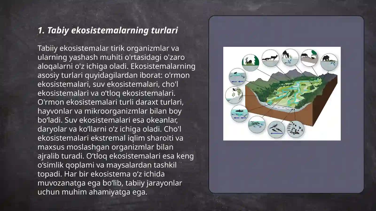 Tabiy ekosistemalar 3