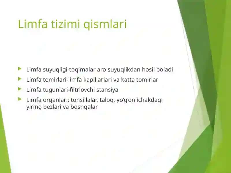 Limfa tizimi 3
