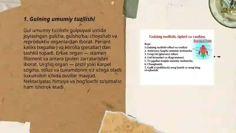 Gulning tuzilishi 3