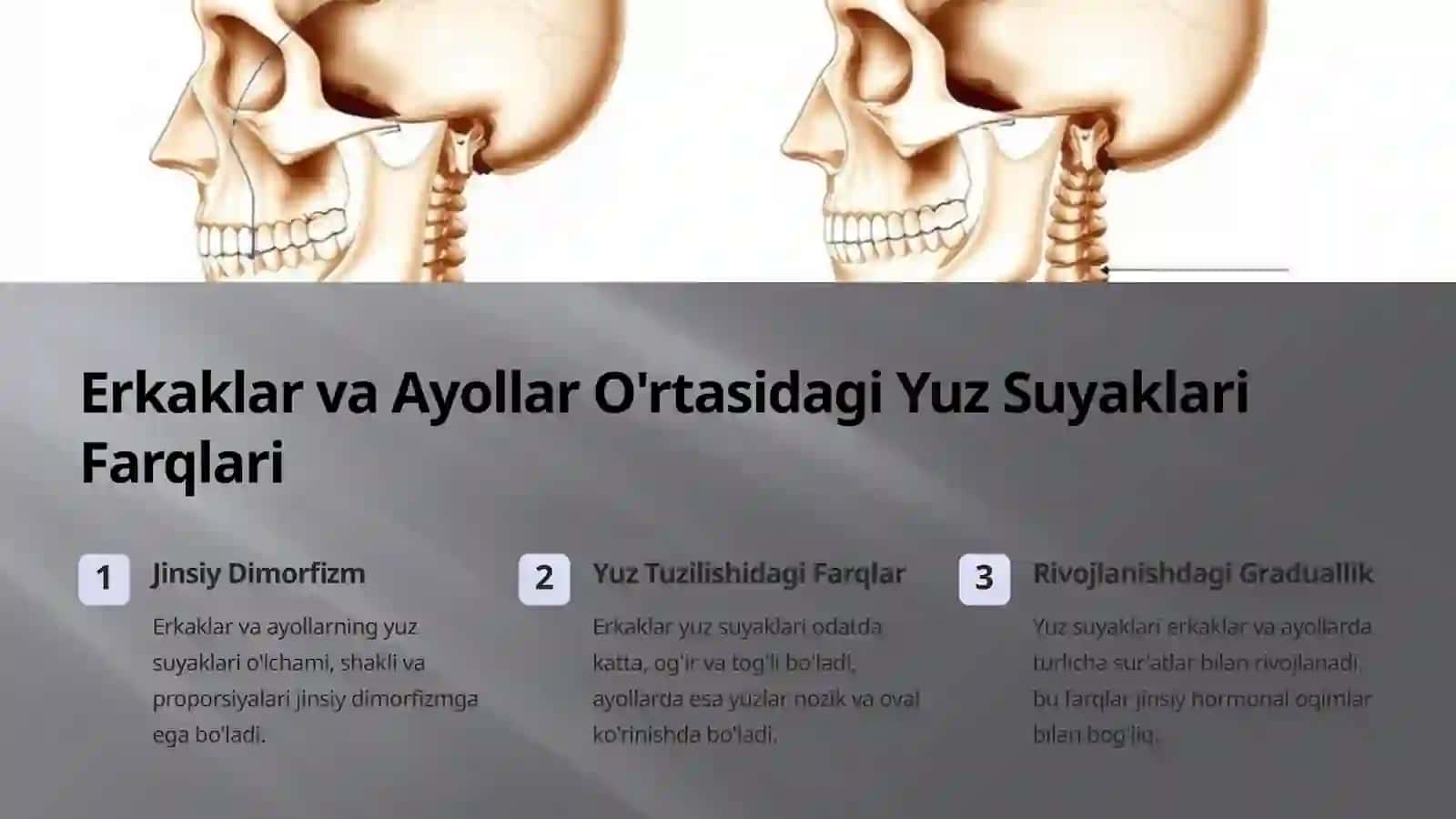 Yuz suyaklari: Yoshga va Jinsga ko'ra farqlari 3