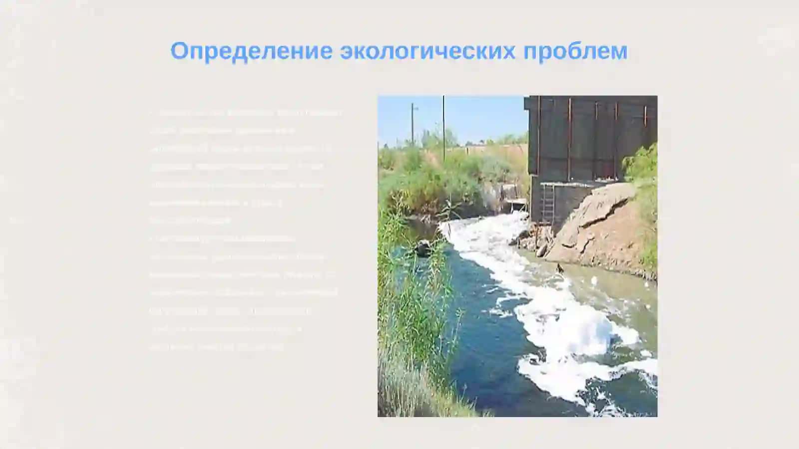 Экологические проблемы 3