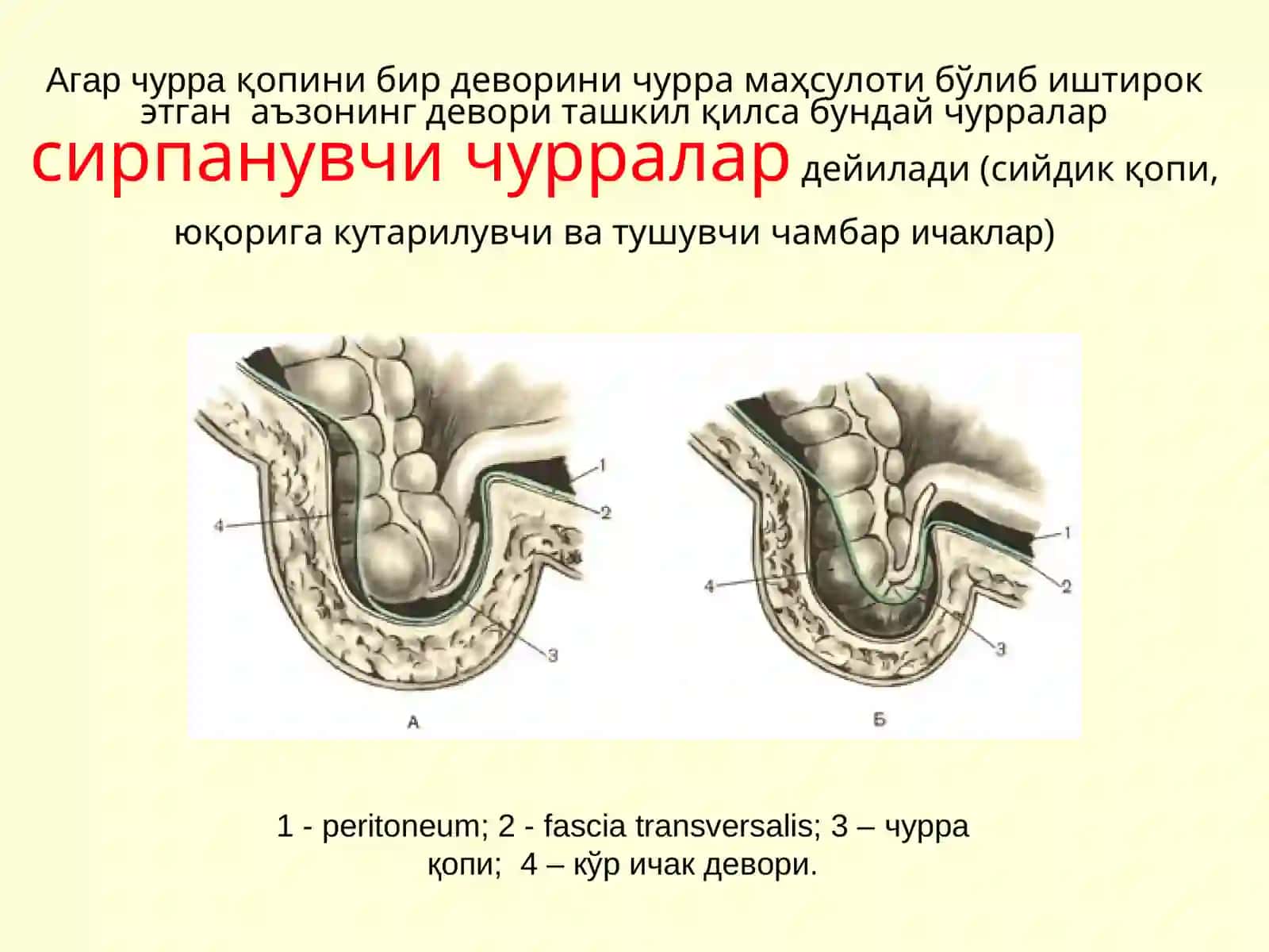 Қоринчурралари 3