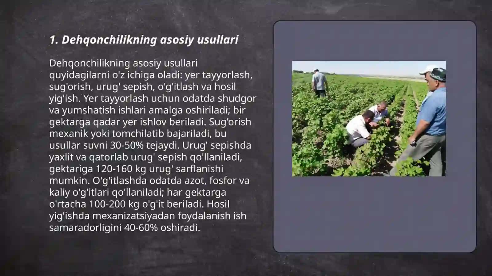Qishloq xoʻjaligi 3