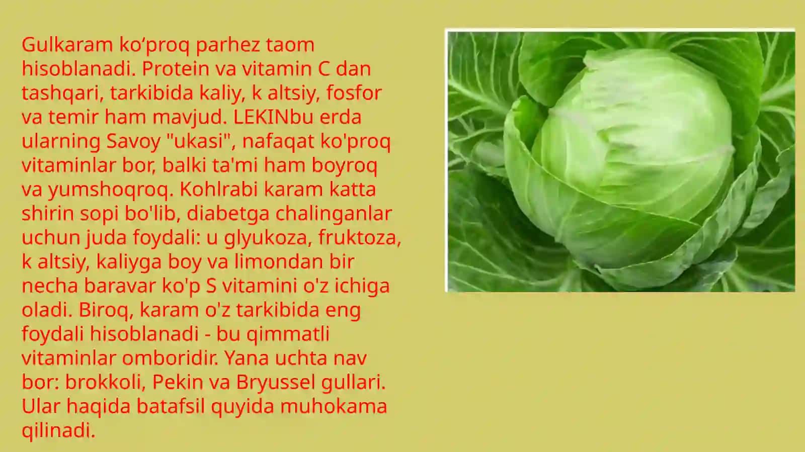 KARAM EKINI OʻGʻITLASH TIZMI 3