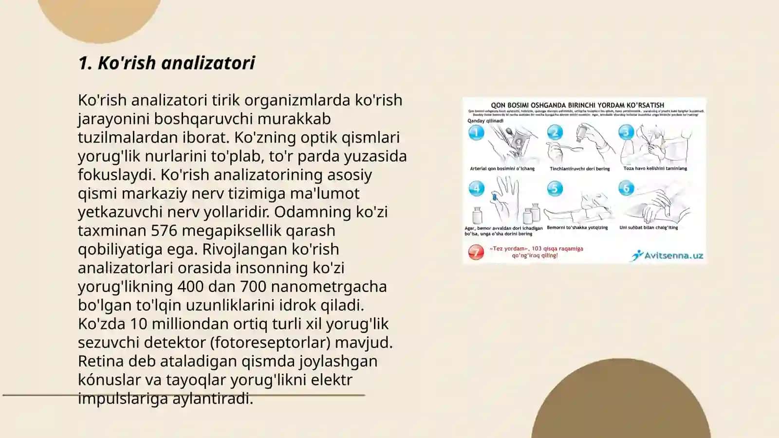 Ko'rish analizatori 3