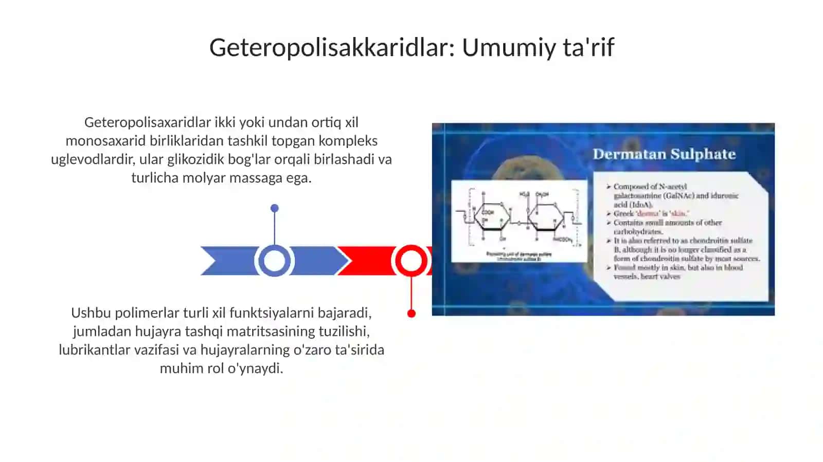 Geteropolisaxaritlar-gialuronkislota,geparin,xondroitinsulfatlar 3