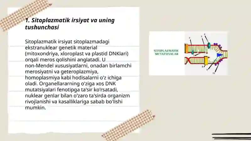 Sitoplazmatik irsiyatning moddiy asoslari 3