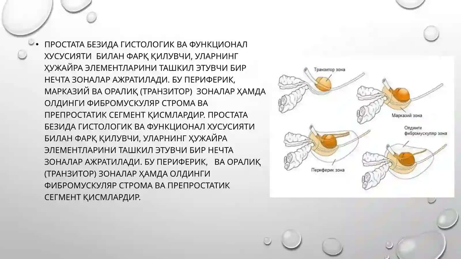 Prostatabezining xavfsiz giperplaziyasi (adenoma) 3