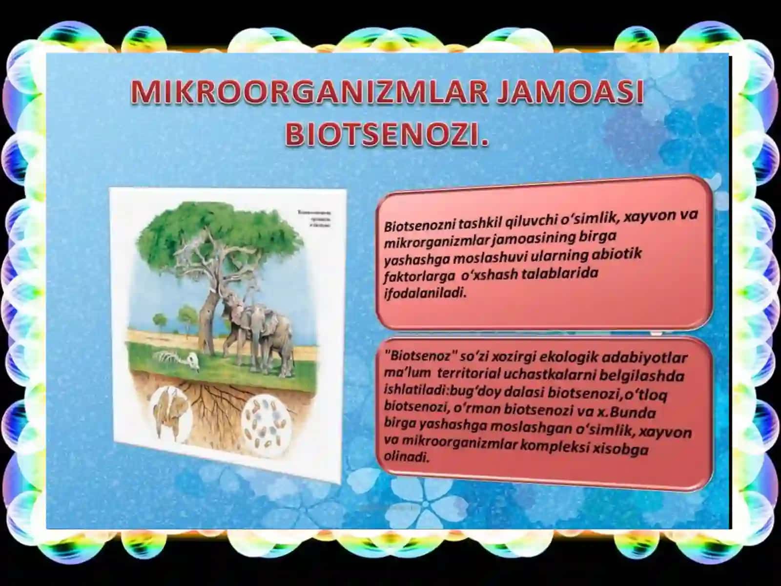 Прокариотларнинг ўсиши ва кўпайиши 3