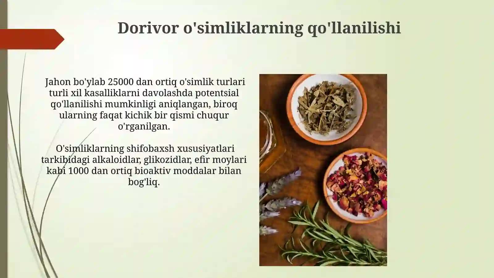 Dorivor O'simliklar 3