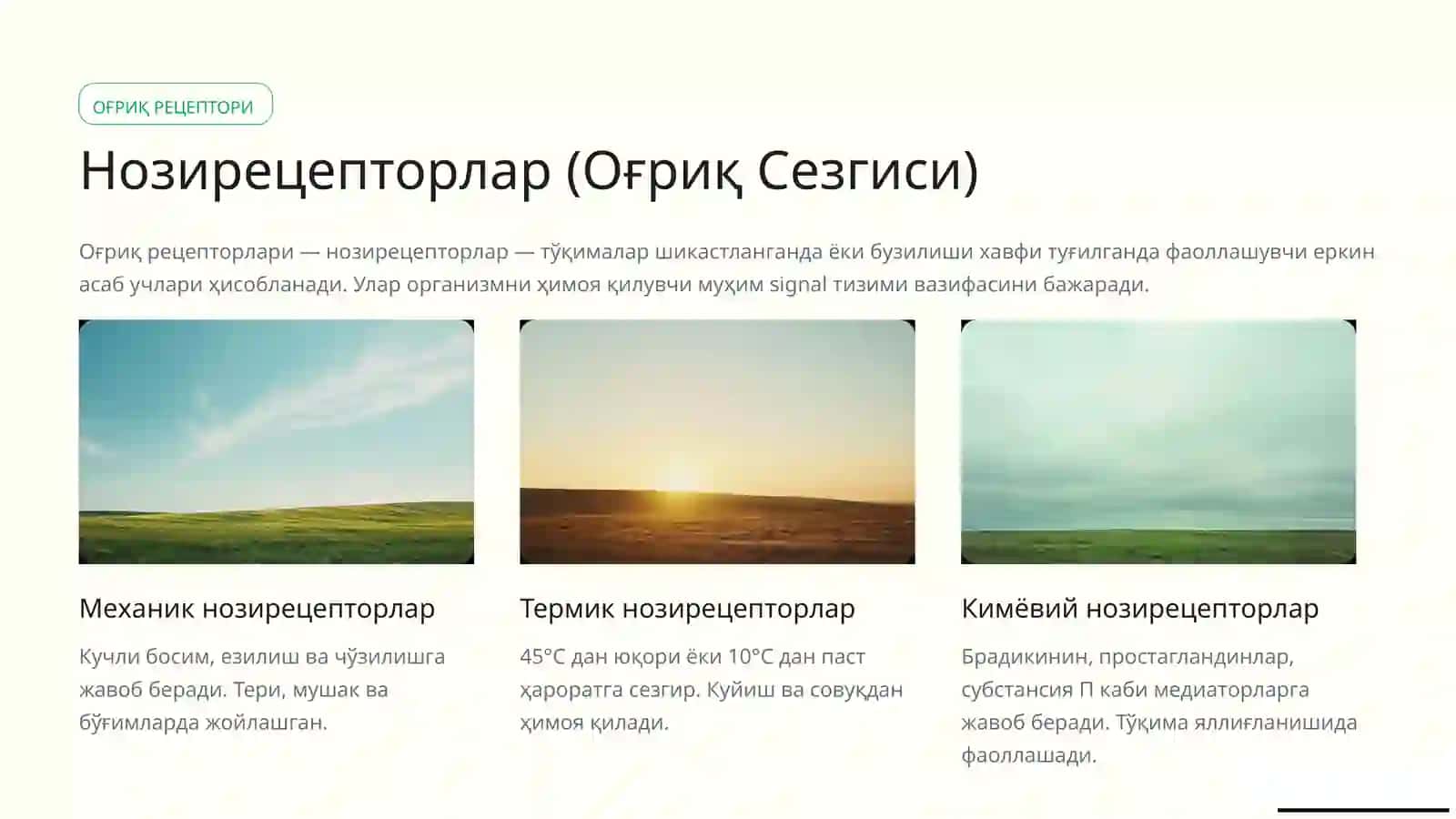 Анализаторларфизиологияси 3