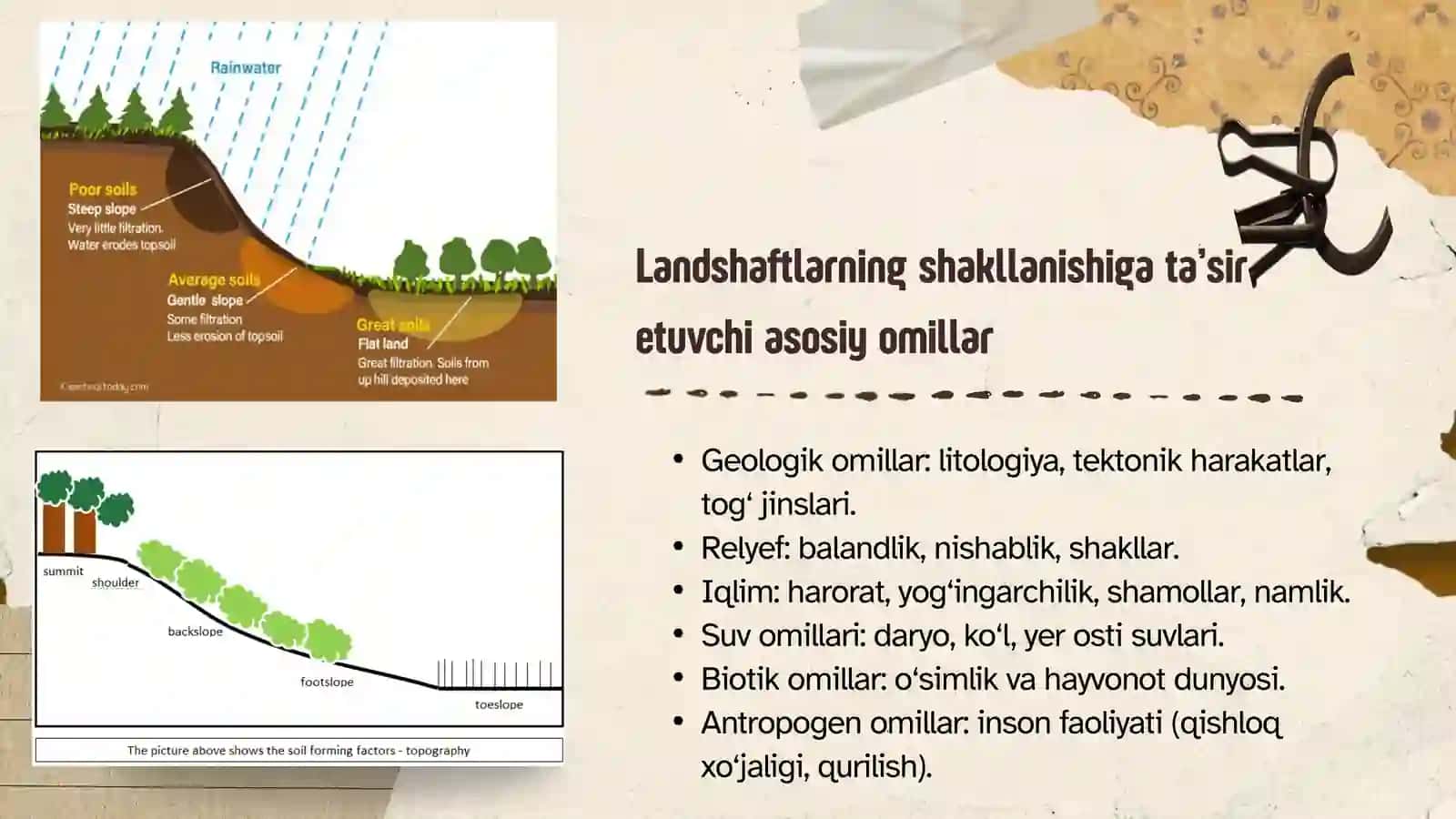 Landshaftlarning shakllanish omillari va ularning turlari 3