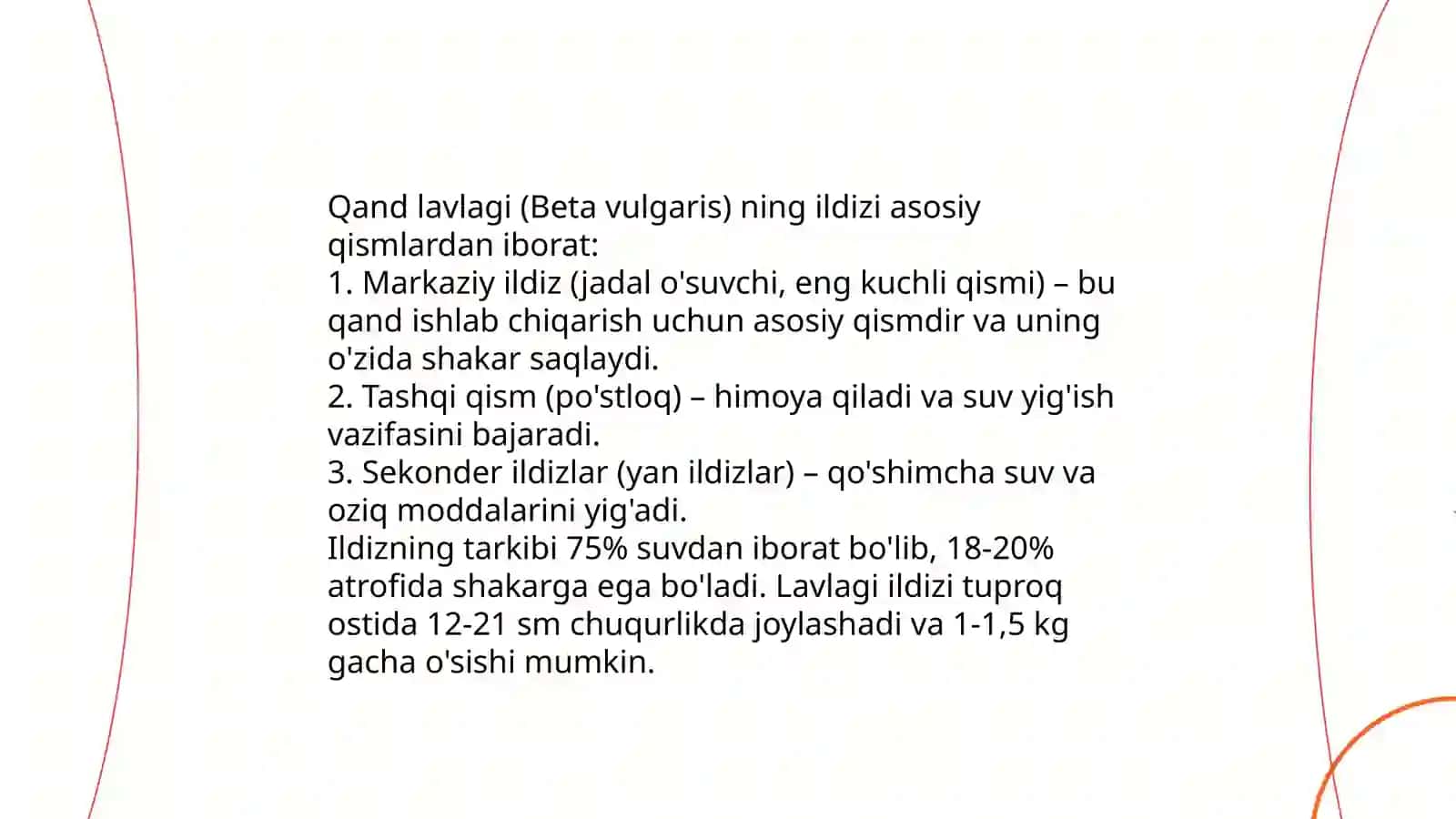 Qand lavlagi ildizining tuzilishi 3