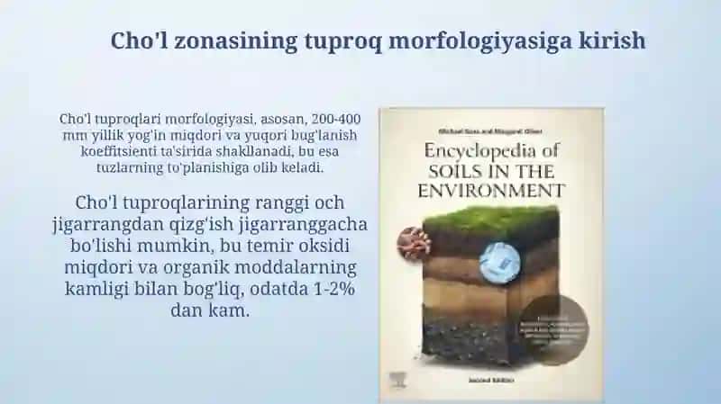 Cho'l zonasi tuproqlari marfalogiyasi 3