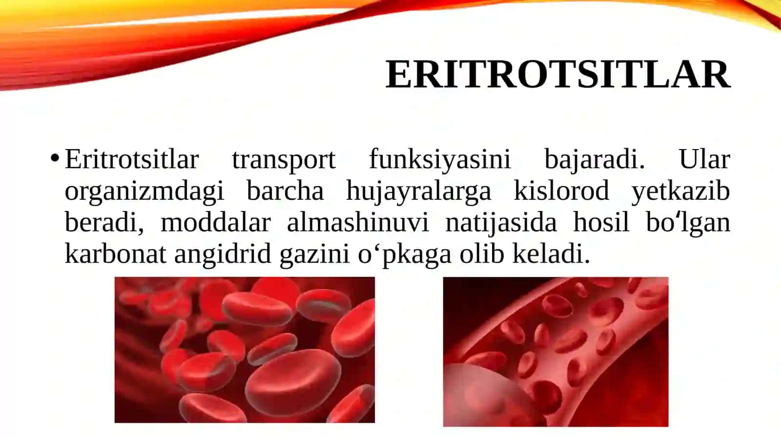 Eritrotsitlar 3