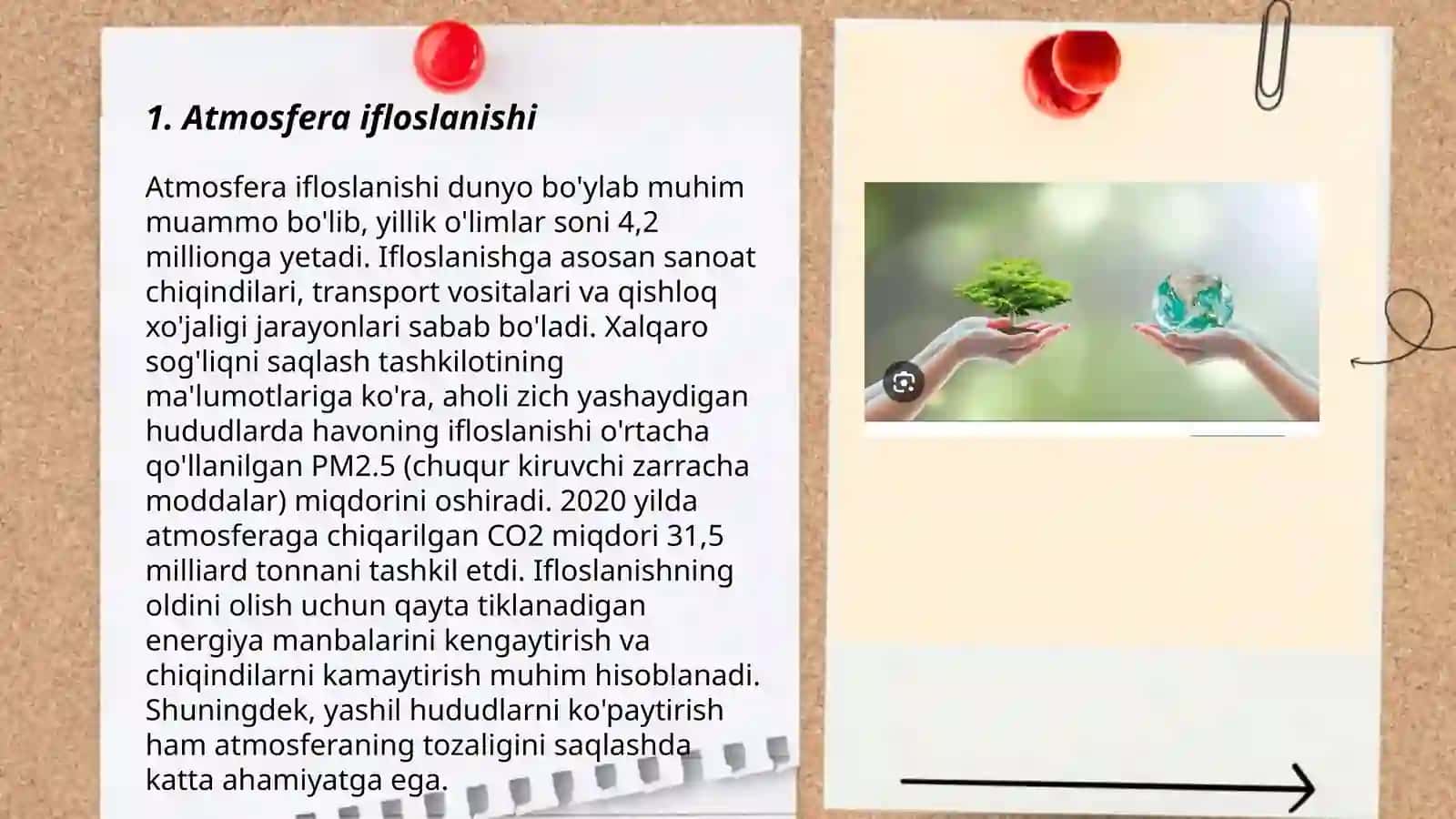 Ekologiya va tabiatni asrash 3