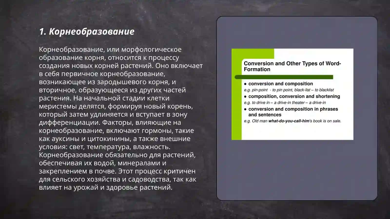 Корнеобразование 3