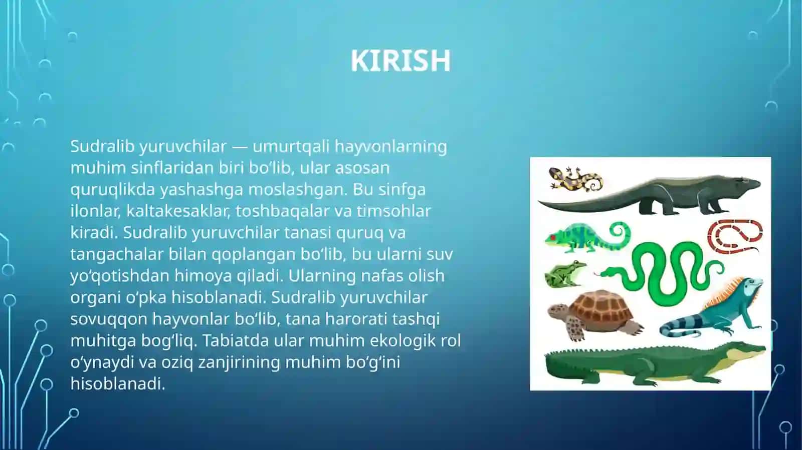 Sudralib yuruvchilar sinfi 3