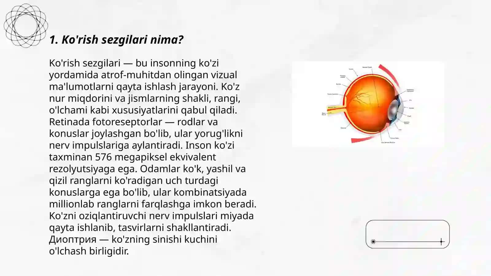 Ko'rish sezgilari 3