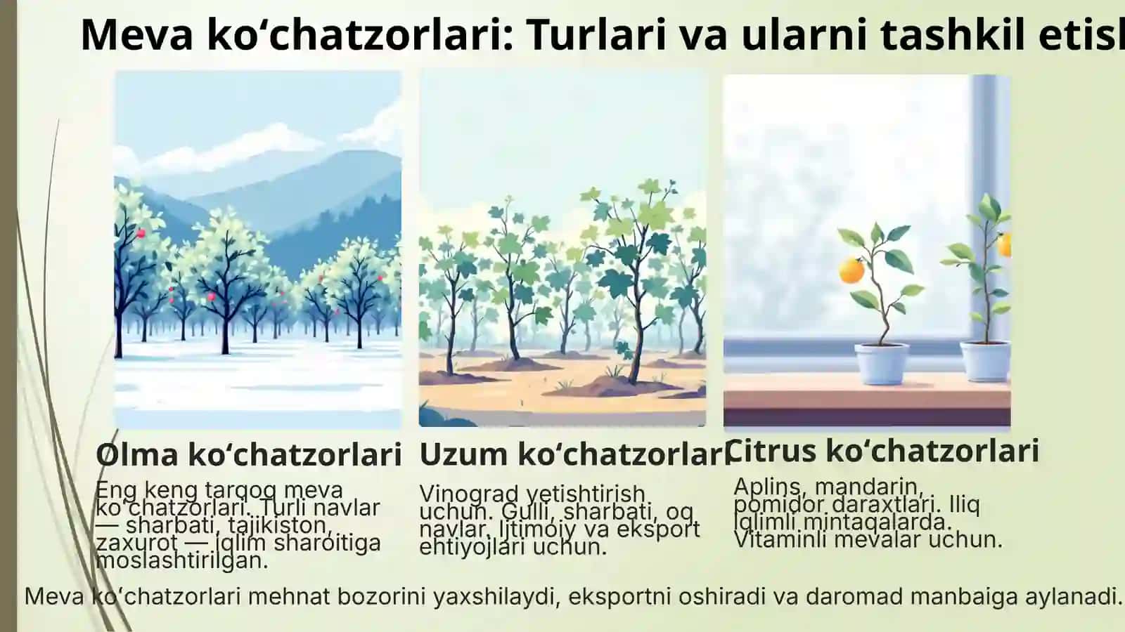 Koʻchatzor xillari va ularning ahamiyati 3
