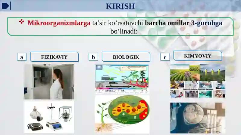 TASHQI MUHIT OMILLARINI MIKROORGANIZMLARGA TA’SIRI 3