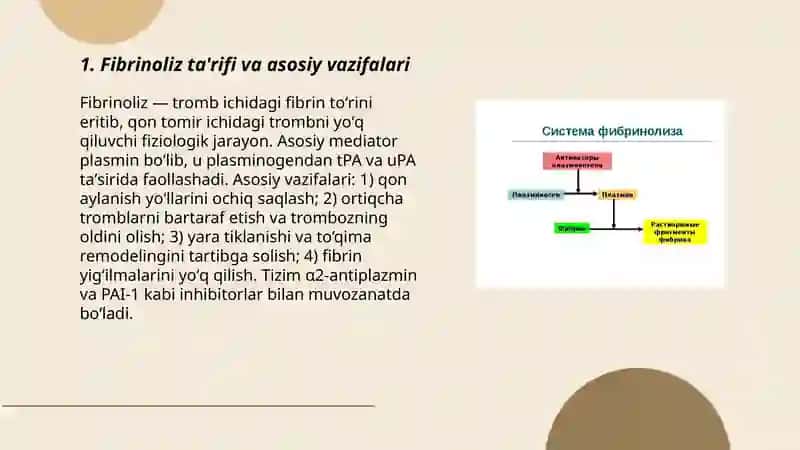 Fibrinoliz 3